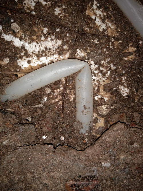 昭平堵点精准查找